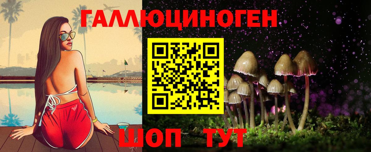 Ставрополь  Псилоцибиновые грибы ЛСД  Вход с VPN  Галлюциногенные грибы прущие грибы 